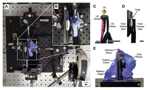 Using Optical Sensor On Breadboard 的图像结果