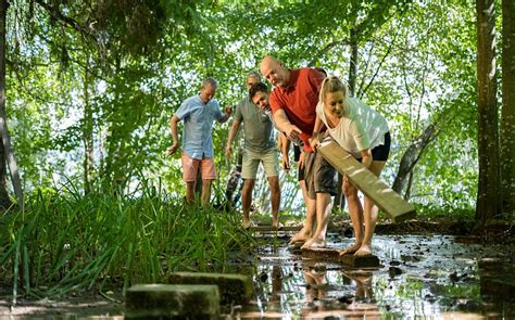 TAGUNGS- UND SEMINARZENTRUM SCHLOSS MARBACH (Konstanz) - Specialty ...