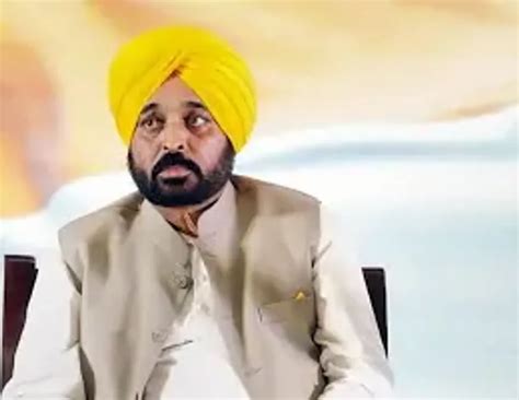 Punjab News: Police Busts Interstate Weapon Smuggling Module, CM ...