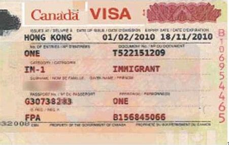 visa number 在哪里？加拿大签证_百度知道