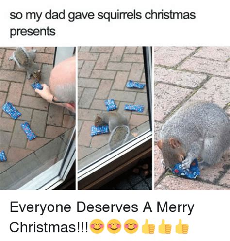 So My Dad Gave Squirrels Christmas Presents to Everyone Deserves a ...