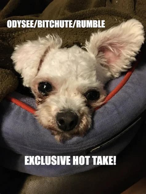 Odysee/Bitchute/Rumble Exclusive Hot Take News Blast! August 2nd 2025