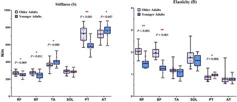 Associations of Lower Limb Muscle–Tendon Properties with Dual-Task Gait ...