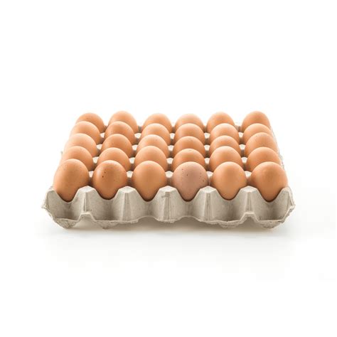 Cubeta de huevos AA