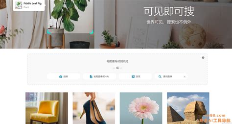 必应 Ai 识图 的图像结果