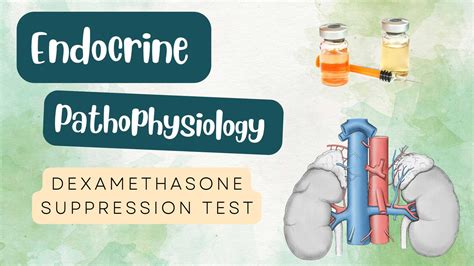 High Dose Dexamethasone Suppression Test