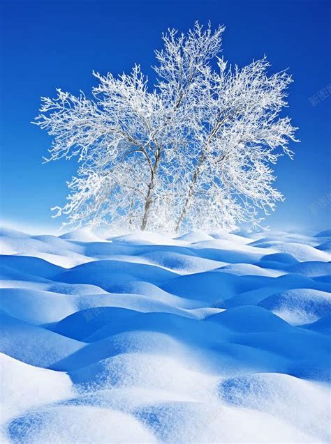 冬天雪地背景背景图片免费下载-素材7miVqPUqj-新图网