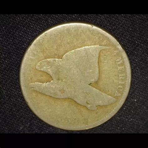 1858 Flying Eagle Small Cents FR2 SL - Miller's Mint