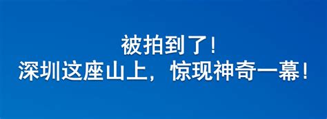 致21人死亡！甘肃白银越野赛案多人获刑_黄河石林_事件_时间