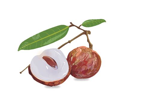 Litchi App Tutorial 的图像结果