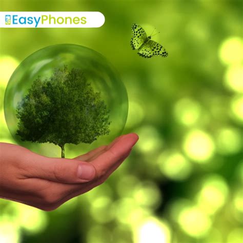 EasyPhones Annual Sustainability Awards: Recognizing Green Practices