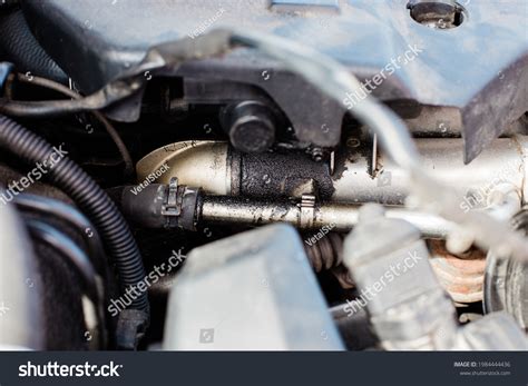 Oil Leak In Engine Bay at Keith Flores blog