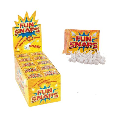 Who to Use Fun Snaps 的图像结果