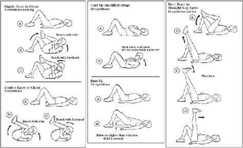 10 Examples of Exercise 的图像结果