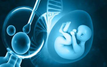 IVF Medication: Why So Costly? - BW Businessworld