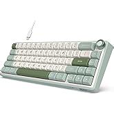 Amazon.in: Buy RK ROYAL KLUDGE R87 Pro Wired Mechanical Keyboard with ...