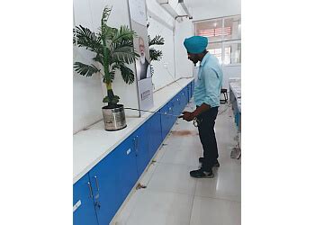 3 Best Pest Control Services in Bhopal - Expert Recommendations