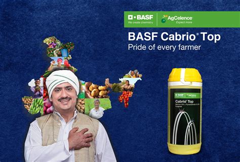 Solutions for Grapes | BASF Crop Protection India