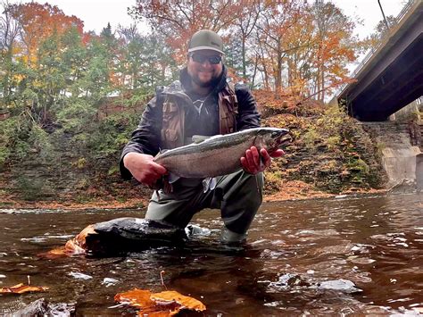 Local Expert Fishing Report: Salmon River Fishing Report- The Steelhead ...