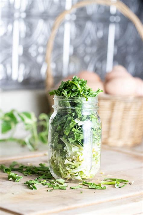 How to Dehydrate Green Onions - Lady Lee's Home