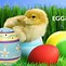 Image result for Easter Baby Cute All Races