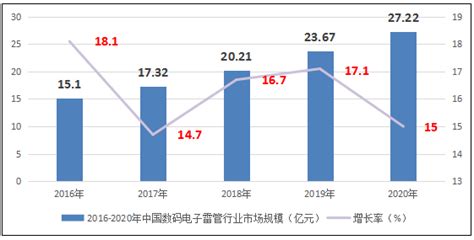 2020-2025年中国数码电子雷管市场发展趋势与投资战略研究报告-行业报告-弘博报告网