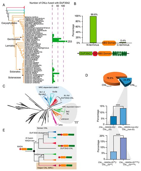 The Landscape of Integrated Domains of Angiosperm NLR Genes Reveals ...