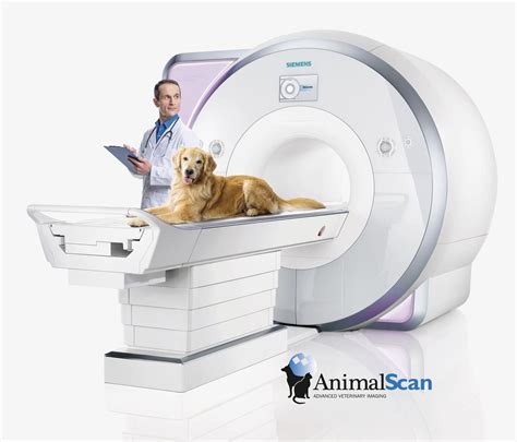 How Much Is A Pet Ct Scan Cost at David Oldham blog