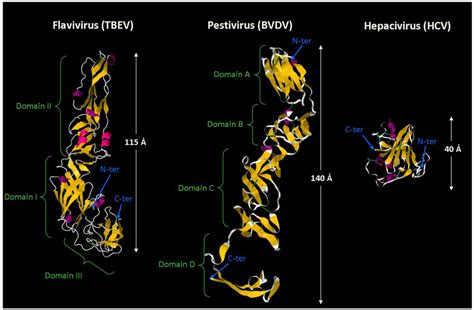 Viruses | March 2014 - Browse Articles