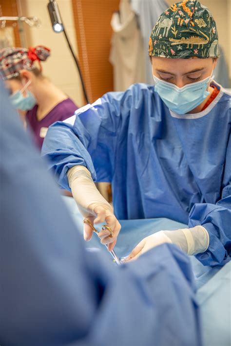 Resiliency Makes the Cut for Army Veterinarian | Article | The United ...