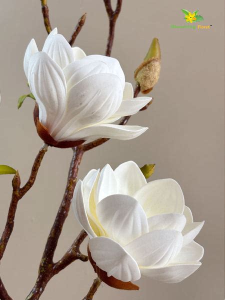 Magnolia Ikebana Flower Stick - White – Blooming Floret