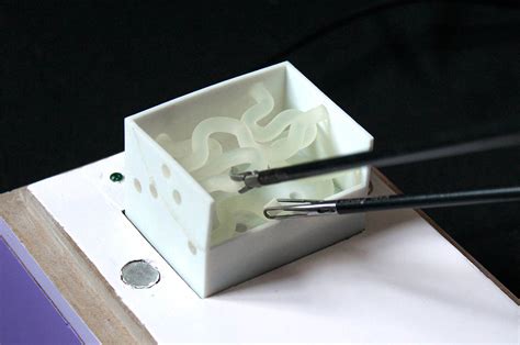 Image result for Boite Avec 2 Module