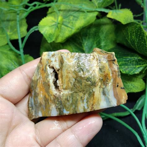 Raw Opalized Petrified Wood - Etsy