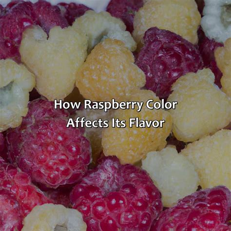 Raspberry Color 的图像结果