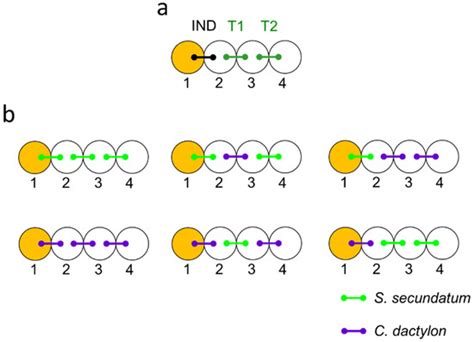 Plants | Special Issue : Plant Signaling, Behavior and Communication