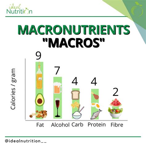 How to Track Macros: A Step-by-Step Guide | Ideal Nutrition