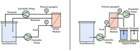 Membrane Filtration Enterococcus at Marie Vaughan blog