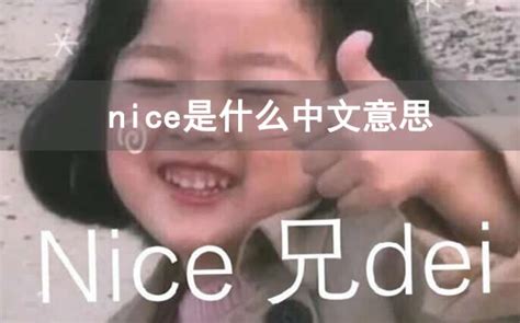 nice是什么中文意思_知识问答_巴士英语网