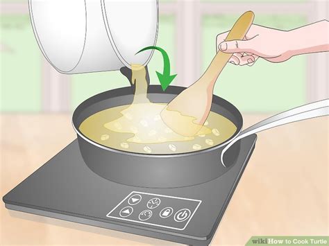 Image result for How to Cook a Turtle