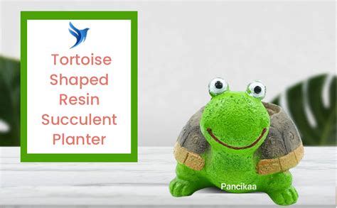 PANCIKAA Green Frog Planter Resin Succulent Planter Indoor Outdoor ...