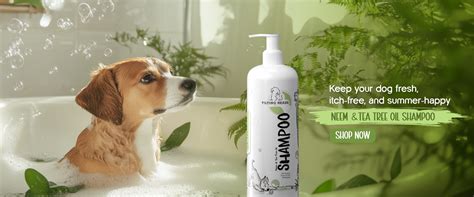 Tilting Heads India – Pet Grooming Rooted in Love & Care