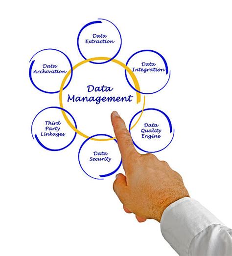 Management Consuling 的图像结果