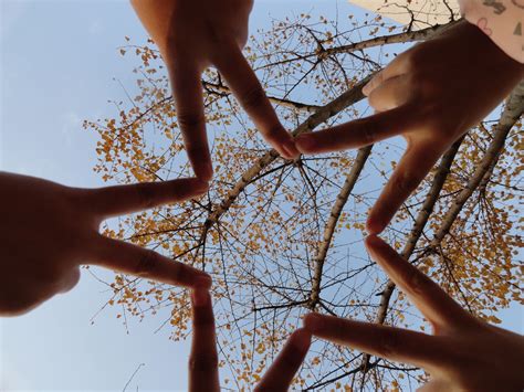 五个人的手势构成五角星的唯美图片_百度知道
