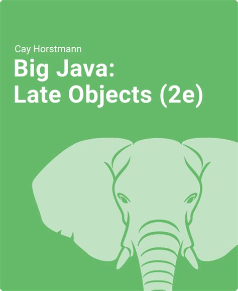 Image result for Big Java