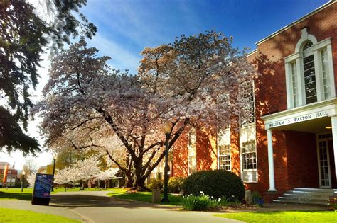 Willamette University: Acceptance Rate, SAT/ACT Scores, GPA