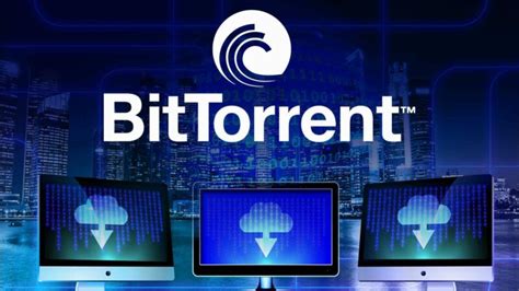BitTorrent Tutorial 的图像结果