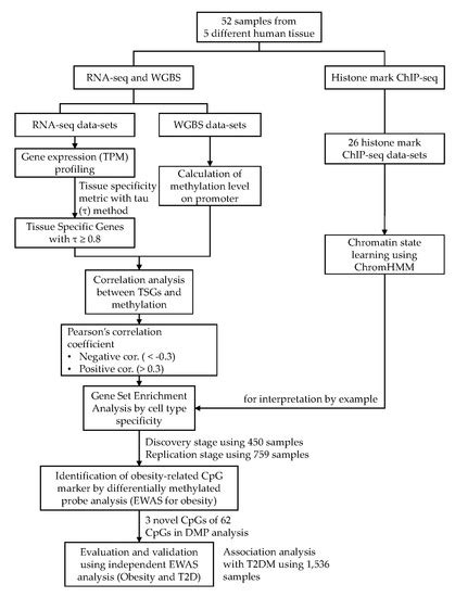Integrated Analysis of Tissue-Specific Promoter Methylation and Gene ...