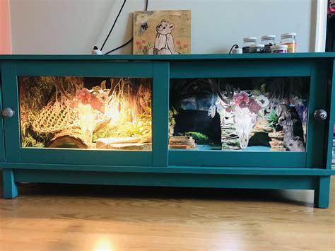 DIY Bearded Dragon Enclosure Ideas