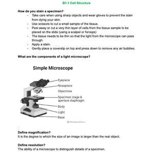 Basic Genetic Engineering GCSE Science OCR 的图像结果
