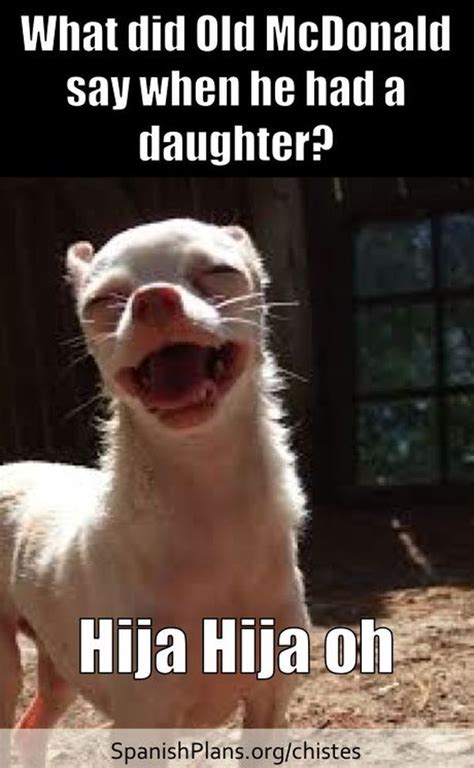 Image result for Lady Modjo Spanish Meme